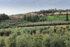 7-CASTELLO-WEB