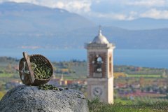FRANZOSI-PRODUZIONE-OLIO7